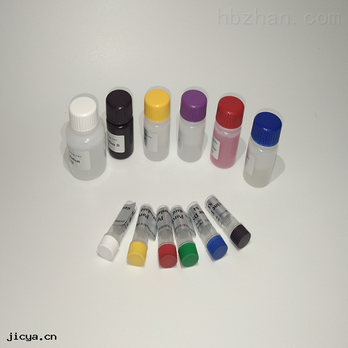 小(xiǎo)鼠骨成型蛋白(bái)7(BMP-7)ELISA試劑盒